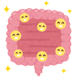 腸内環境が整っている様子