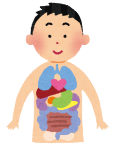 人の体が全身が繋がっている様子